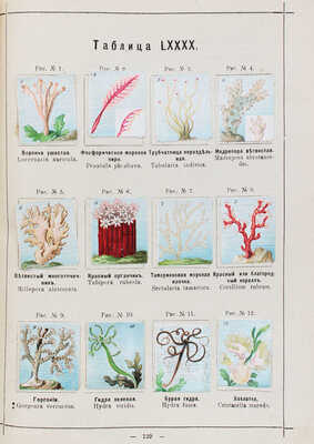 Гагельберг В. Рельефные картинки животных Гагельберга с их описанием... СПб., 1912.